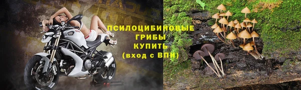 шишки Абдулино