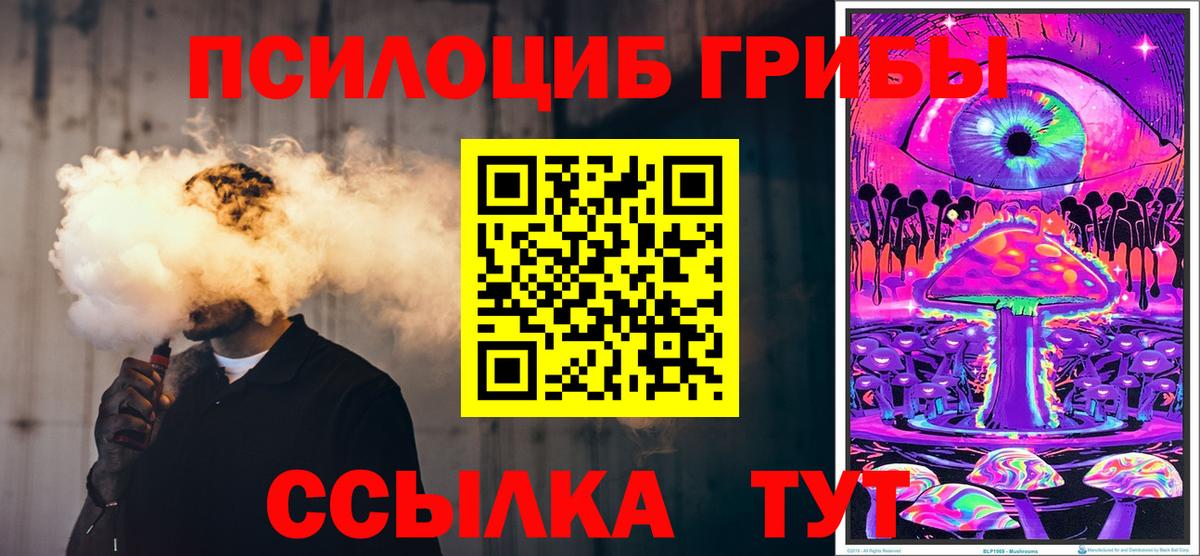 Псилоцибиновые грибы Psilocybe Ишимбай