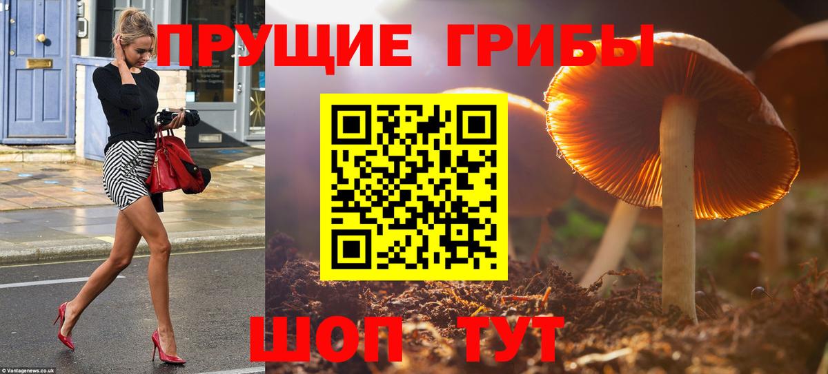 Псилоцибиновые грибы MAGIC MUSHROOMS  Вход с VPN  Галлюциногенные грибы ЛСД  Ишимбай 
